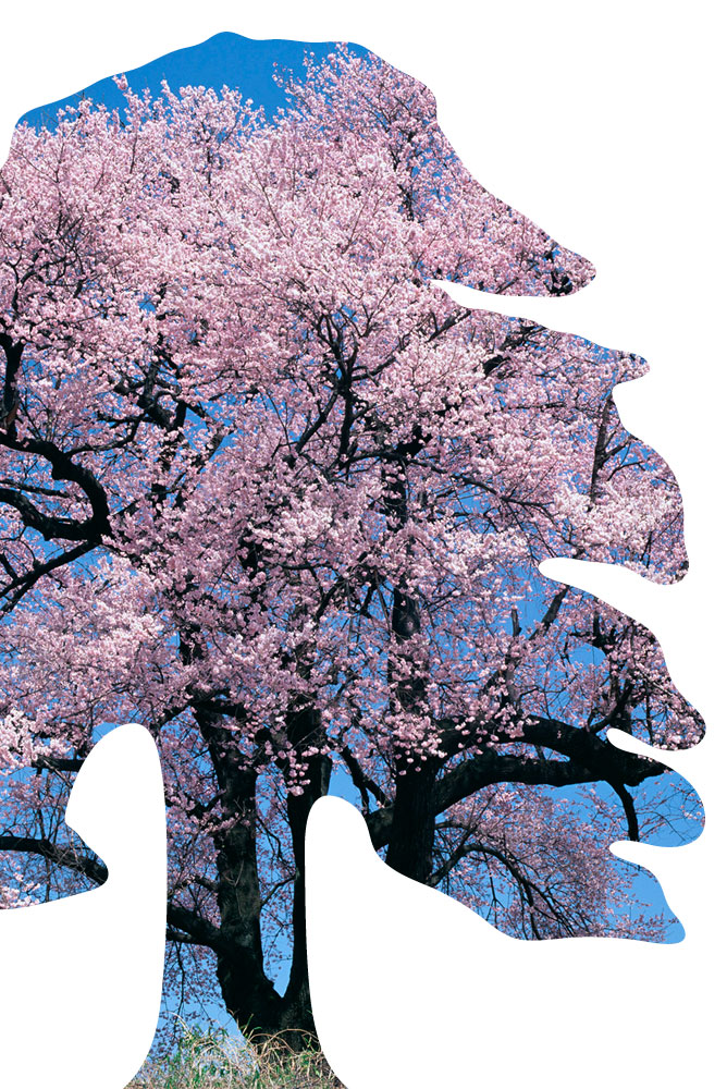 Sakuteiki